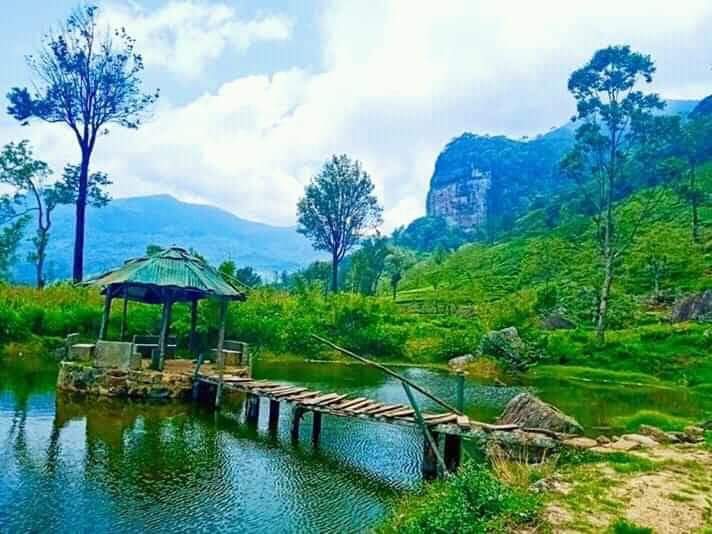 tropical_ceylon's tweet photo. The #Loolkandura #estate, s the first #tea plantation estate in Sri Lanka There are many attractions to visit in this estate especially in relation to the pioneer of #ceylontea  #jamestaylor
#kondagala_rock #firsttea #ceylonteatrails #hikersparadise  #tealover #teatourism https://t.co/hij7pVWLuH