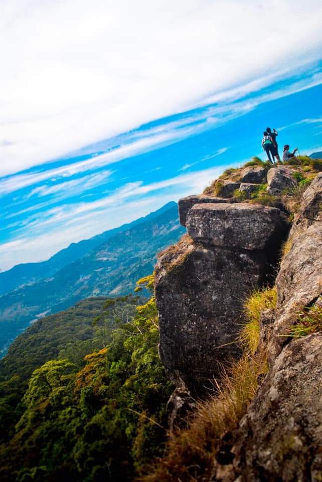 tropical_ceylon's tweet photo. The #Loolkandura #estate, s the first #tea plantation estate in Sri Lanka There are many attractions to visit in this estate especially in relation to the pioneer of #ceylontea  #jamestaylor
#kondagala_rock #firsttea #ceylonteatrails #hikersparadise  #tealover #teatourism https://t.co/hij7pVWLuH