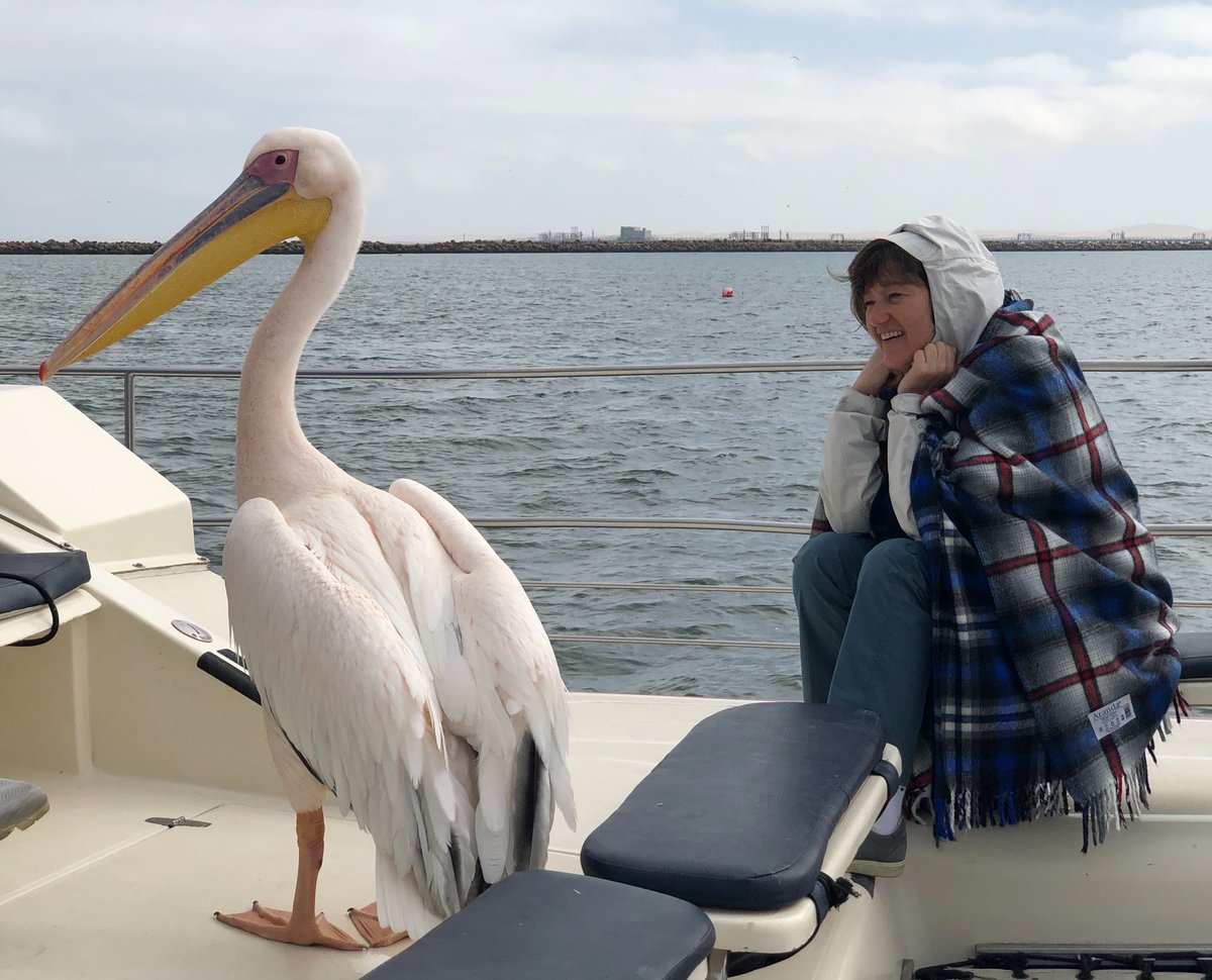 One of the best things about traveling is the friends you make along the way. Some friendships are more unexpected than others, as TCS Expedition Leader Jill Peacock learned on a trip to Namibia.
 
#TCSMoments #TravelMemories #Namibia