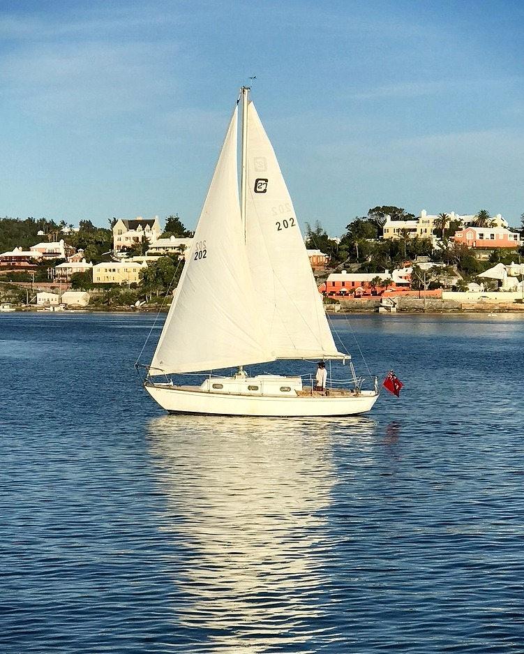 danabermuda's tweet photo. Sailing in Hamilton Harbour ⚓ .
.
.
.
.
#danacooper #danacooperbermuda #bermuda #gotobermuda #islandlife #beach #wearebermuda #bermudaful #caribbean #verytandc #resortwear #resortfashion #summerfashion #vacationwear #cruisewear #beachboutique #holidaywear #summerwear #vacavibes https://t.co/luH2HwapfC