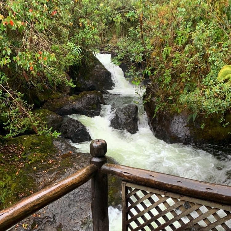 This is Ecuador tweet media