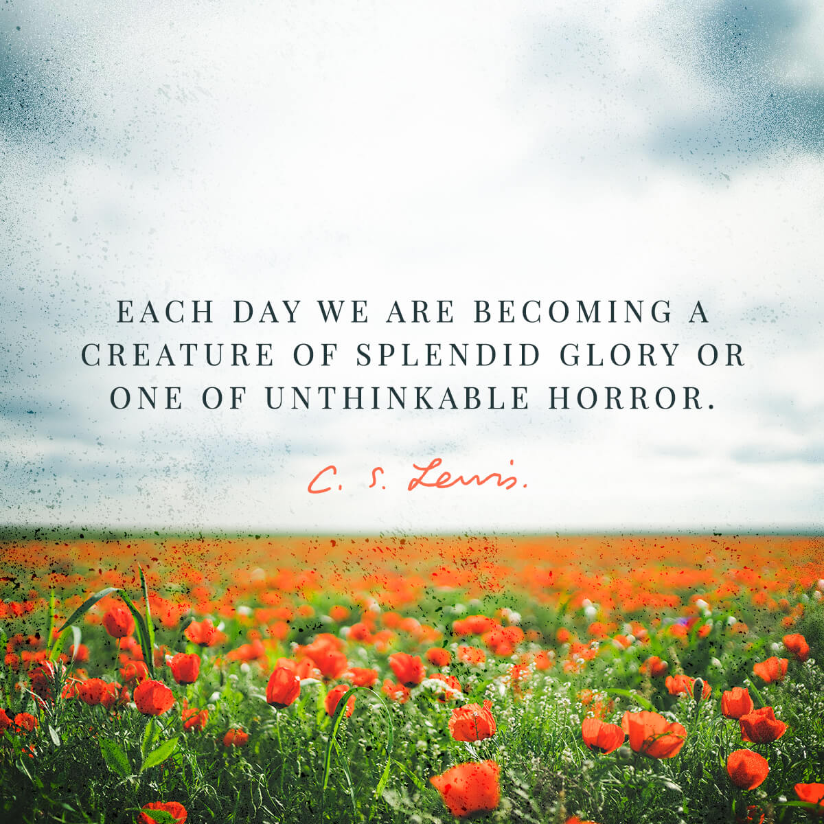 CSLewisDaily's tweet photo. ❤️ https://t.co/aCUQkWOdCe