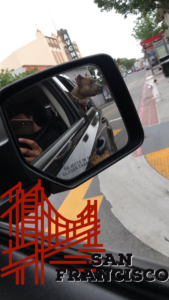 ejordaaan's tweet photo. My mans right here loves car rides 🐶 https://t.co/eeA4KD6QuY