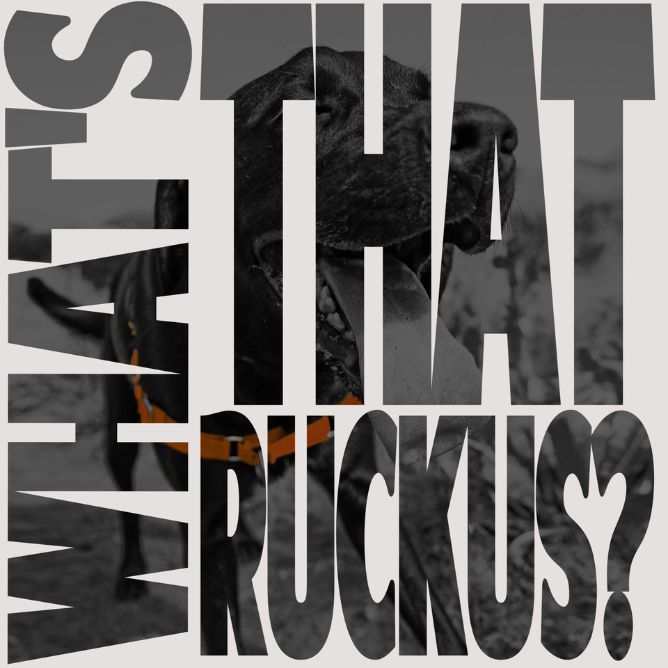gotwickedwifi's tweet photo. Excited to release my #favorite episode of #whatsthatruckus yet, w/ @ITDRC's Joe Hillis.  

Don't know ITDRC?  They parachute into #disaster areas and restore connectivity to people in need...and they're #legendary at it.

This was a blast, don't miss it!

https://t.co/BfAmDR5Gon https://t.co/lSrSXRLXDC