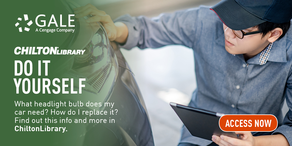 a man kneeling odwn in front of his car lookiing at the headlights
