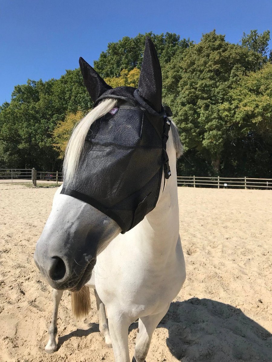 Hugo Tout Seul tweet media