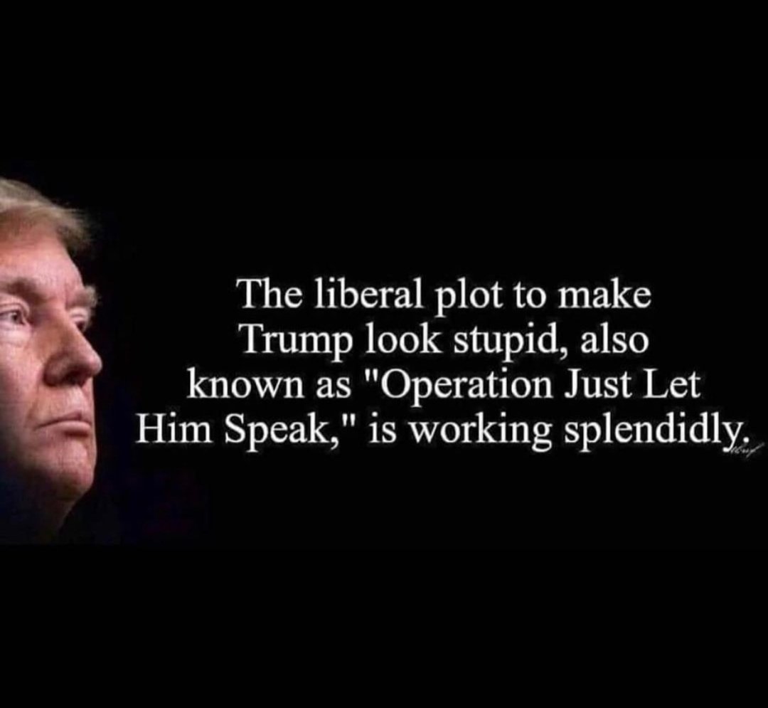 Lovliny1's tweet photo. @DavidBWriter #NeverForgetTrumpCorona #TrumpLiedPeopleDied #RedHatDunceCap #TRE45ONPIG #TRE45ON https://t.co/H1sj8vLHxO