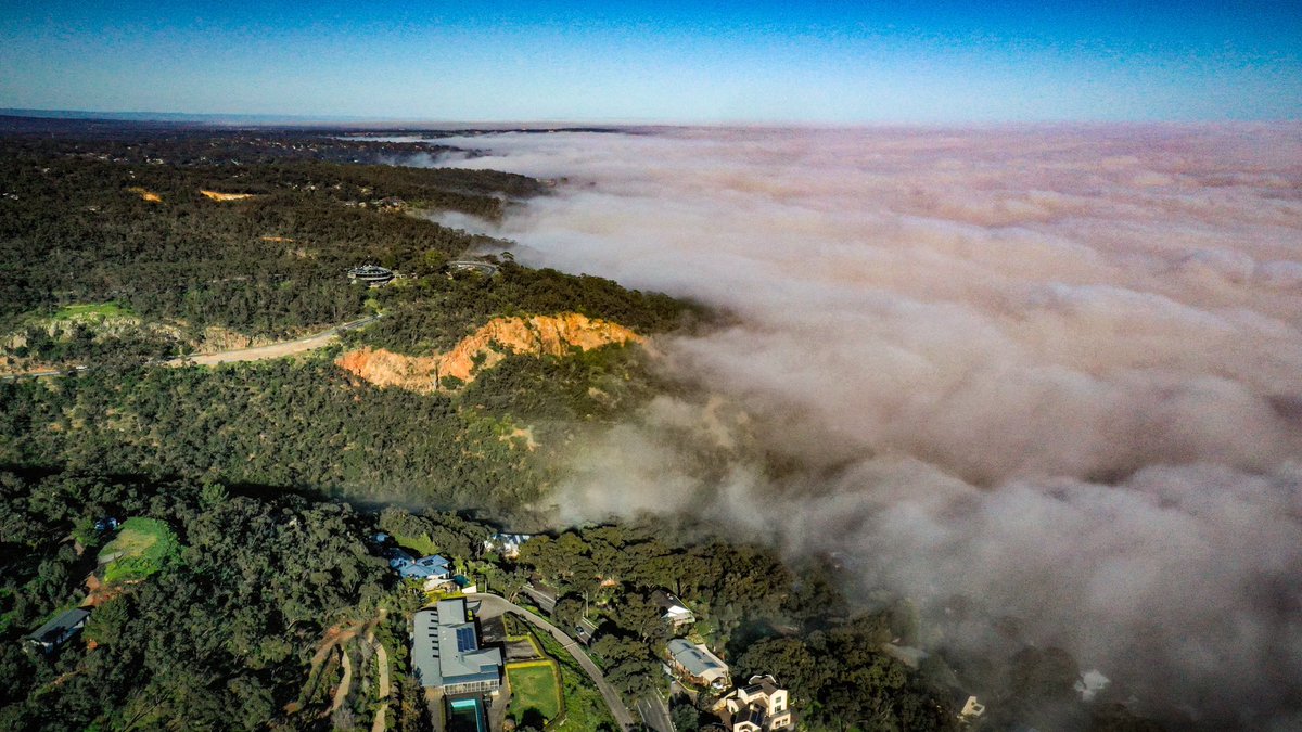 Matt_Bonser tweet media