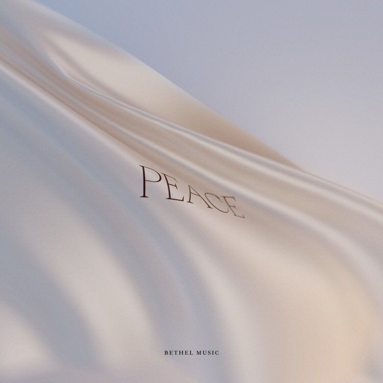meetjoes's tweet photo. #Nowplaying “No Longer Slaves” from #Peacealbum ⁦@bethelmusic⁩ .
#Godgotit #nolongerslaves https://t.co/gq04nzUvZQ