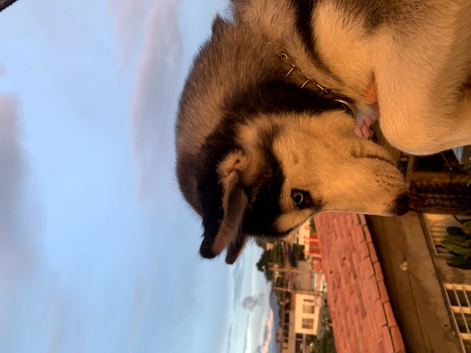 Post de apreciaci&oacute;n de mis tres preciosas bendiciones https://t.co/xTnDBzZfaI<a href="/tag/mianiversariodex"class="tags"><span>#mianiversariodex</span></a>