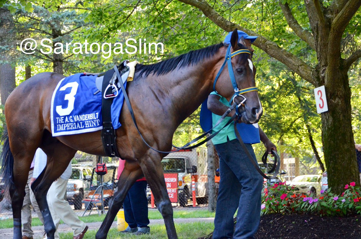 SaratogaSlim's tweet photo. 3 DAYS TO #Saratoga 2020!
So we throw it back to one of the best performances of 2019:
#3 IMPERIAL HINT in front of the #3 tree in the Saratoga paddock before his track record romp in the Grade 1 #Vanderbilt
#LittleRocket https://t.co/oAGoOqmgNR