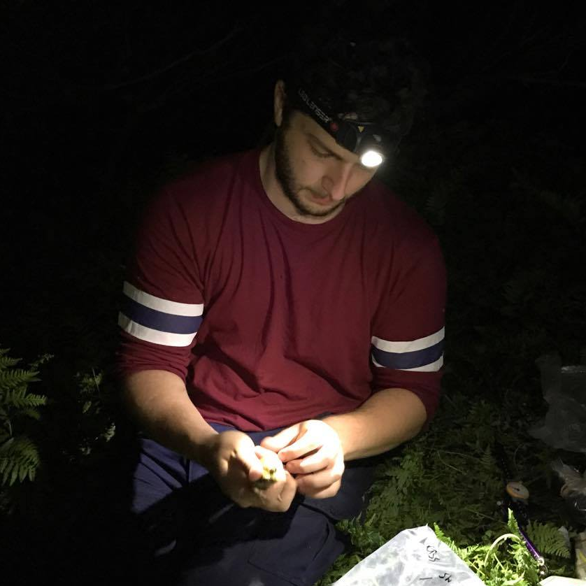 ConservationUon's tweet photo. This week’s @ConservationUon spotlight: 

@DeanLenga, a keen herpetologist and PhD candidate with @ConservationUon &amp; @Uni_Newcastle monitoring and developing recovery steps to help the endangered Green and Golden Bell Frog, Litoria aurea https://t.co/9CrfggQcbU