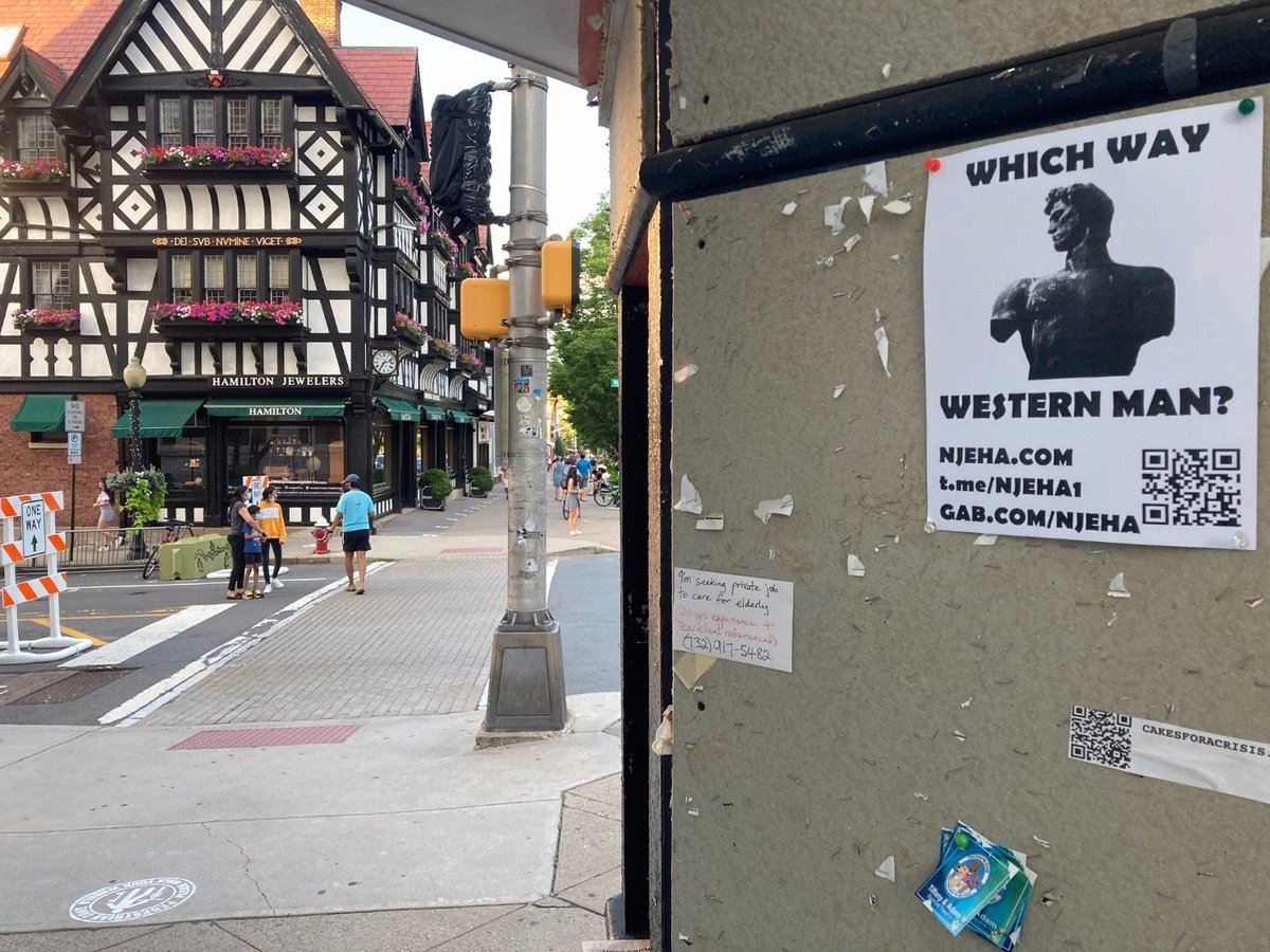 EuropeanAssoc's tweet photo. NJEHA activists distributed flyers around Princeton, New Jersey.
#BLMIsJewishFinancedTerrorism
#BlackOnBlackViolence
#ThereIsAWarOnWhitePeople https://t.co/krhfQIje91