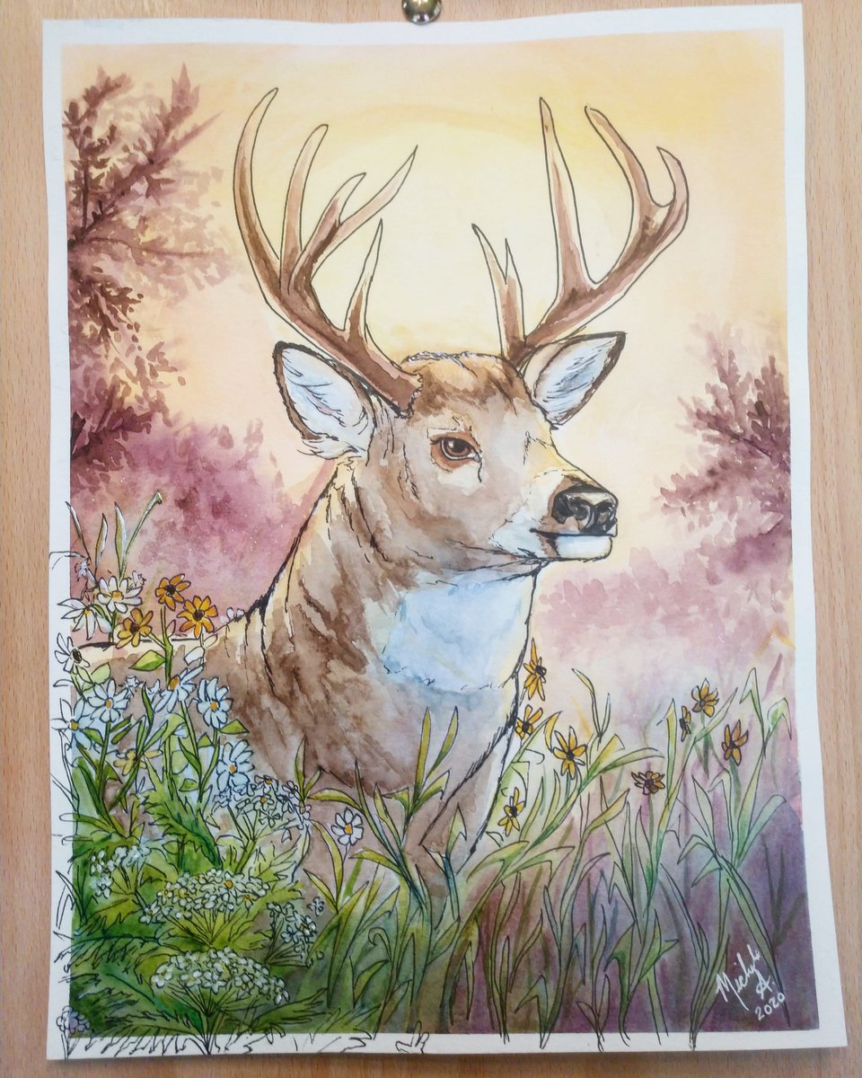 Michele Altenkirch tweet media