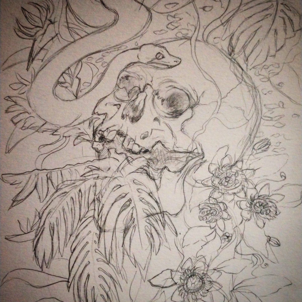 Michele Altenkirch tweet media