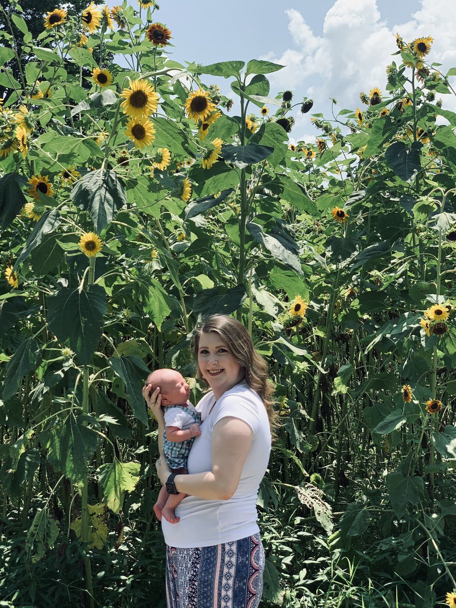KaitlynMatlock's tweet photo. 💛🌻 https://t.co/2oHHCWFSDv