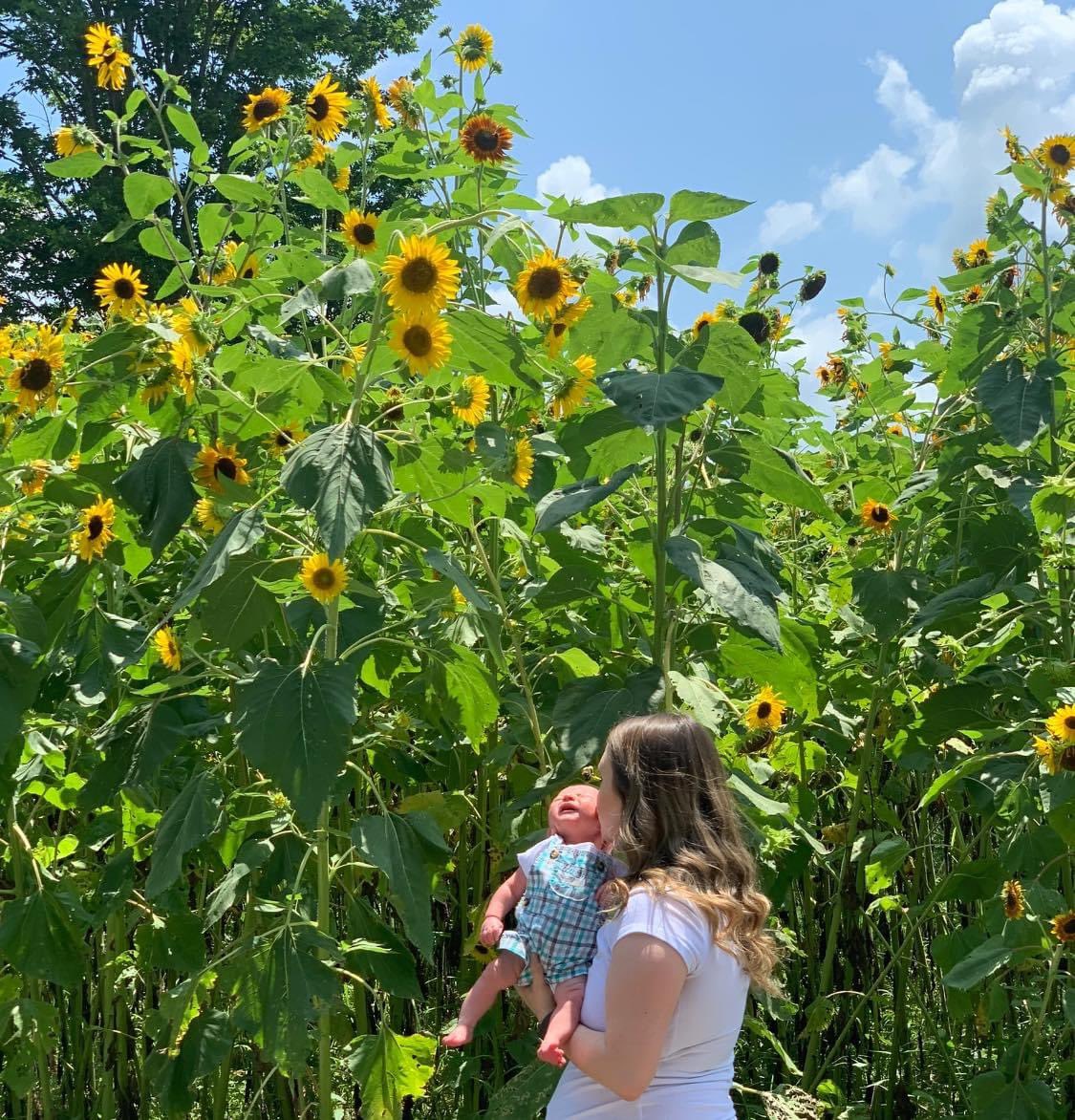 KaitlynMatlock's tweet photo. 💛🌻 https://t.co/2oHHCWFSDv