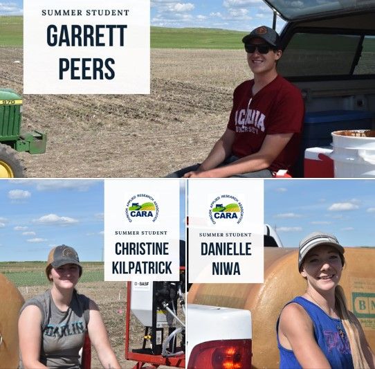 return2rural's tweet photo. Welcome Garrett, Christine and Danielle to the @CARAresearch team this summer!
#R2RWeekendRecaps #R2R #Oyen #SpecialAreas #Alberta #Return2Rural #CARAResearch #SummerStaff
https://t.co/z4qONGYSk4 https://t.co/C68eUDxb9p