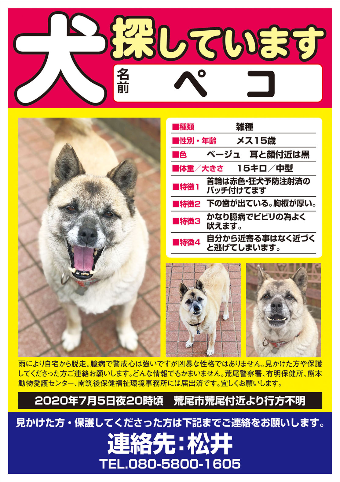 迷子ペット Net 拡散希望 迷い犬を探しています 犬 メス ペコちゃん 15歳 熊本県荒尾市荒尾付近より行方不明 情報お持ちの方はご連絡を T Co 9kwrmzkmpm Twitter
