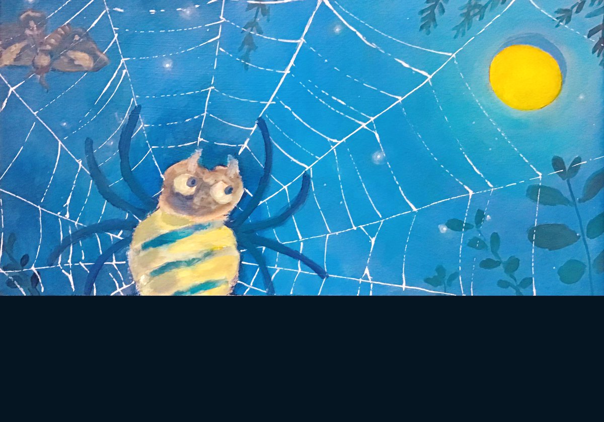 silk spider web no humans moon night bug animal focus  illustration images