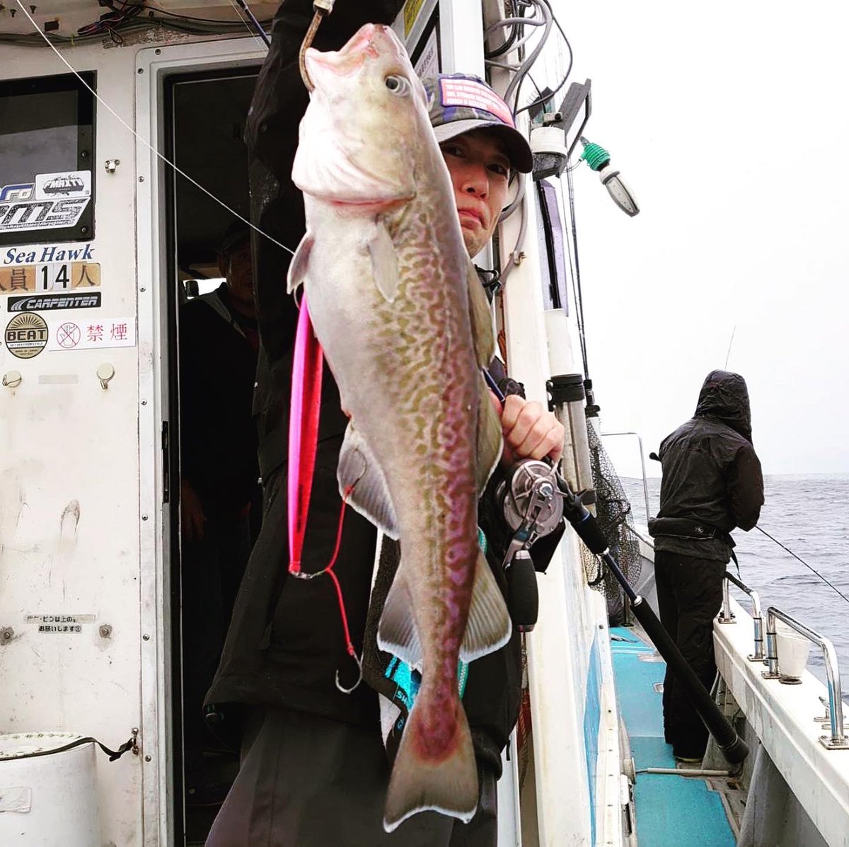 フィッシングマックス スタッフ釣果情報 岸和田店 若杉です 舞鶴 の シーホーク 様へお邪魔してまいりました 雨天 魚のご機嫌ナナメ気味でしたが 初めてのスタッフも本命 タラ ゲット タヌキメバル 小さいながら幻の絶品魚 アラ も船中連続
