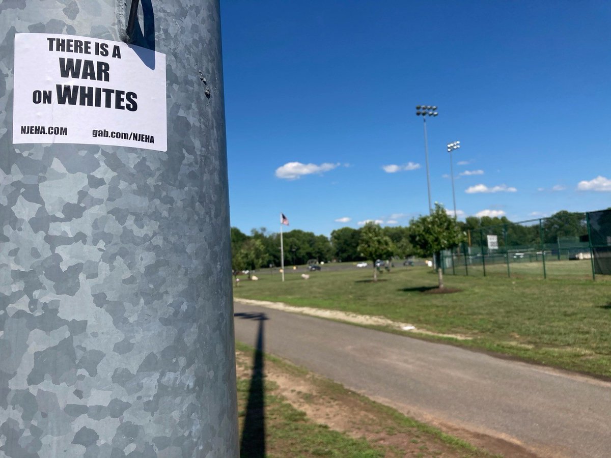 EuropeanAssoc's tweet photo. NJEHA activists placed promotional materials around:
--New York, New York
--Maple Shade , New Jersey
--Aquetong, Pennsylvania
--Livingston, New Jersey
#BLMAreBlackLyingMarxists
#DefendWesternCivilization
#StandUpPatriots https://t.co/nBKqYw1dXR