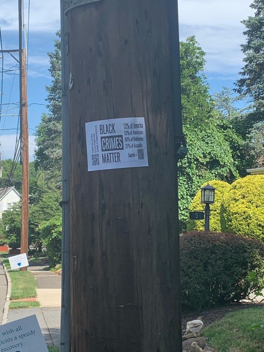 EuropeanAssoc's tweet photo. NJEHA activists placed promotional materials around:
--New York, New York
--Maple Shade , New Jersey
--Aquetong, Pennsylvania
--Livingston, New Jersey
#BLMAreBlackLyingMarxists
#DefendWesternCivilization
#StandUpPatriots https://t.co/nBKqYw1dXR