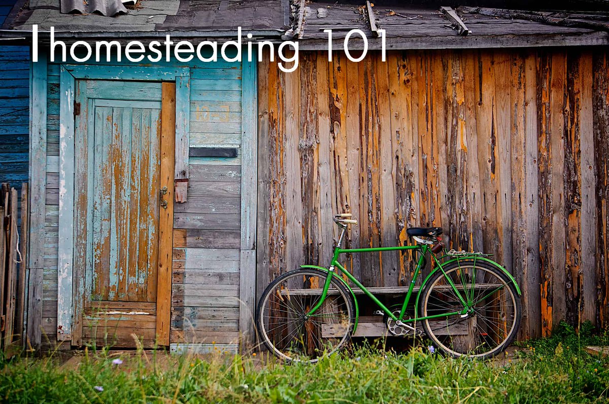 HomesteadFreaks's tweet photo. What is Homesteading | Tips, Tricks and Essential Steps to ... https://t.co/E66jliu1Oh https://t.co/ehiKopGn5p