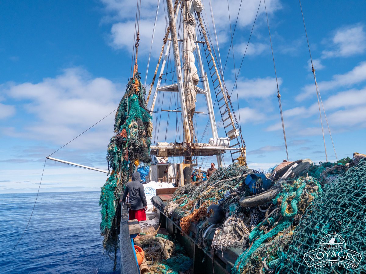 Ocean Voyages Institute tweet media