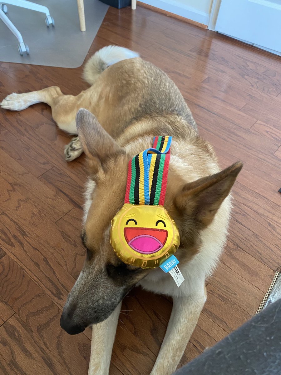 goodboywilson's tweet photo. today in good boy news https://t.co/1ZlpAnIcfv