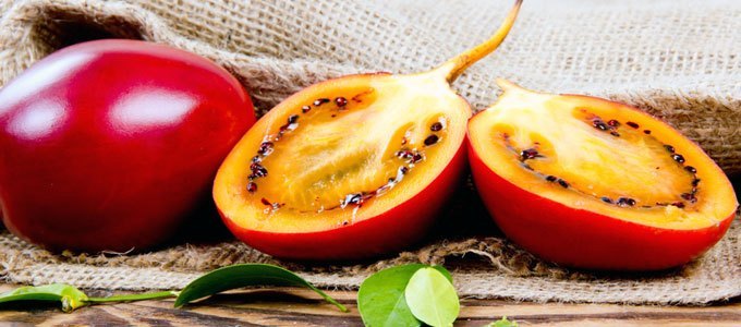 hargatarif's tweet photo. Info Lengkap Manfaat dan #Harga Terong Belanda - https://t.co/X3ILrOtmPu 
#Biji #Buah #Kandungan #PerKilo #Rasa #Resep #Sirup #Ukuran #Zat https://t.co/Id1jqEAcOT