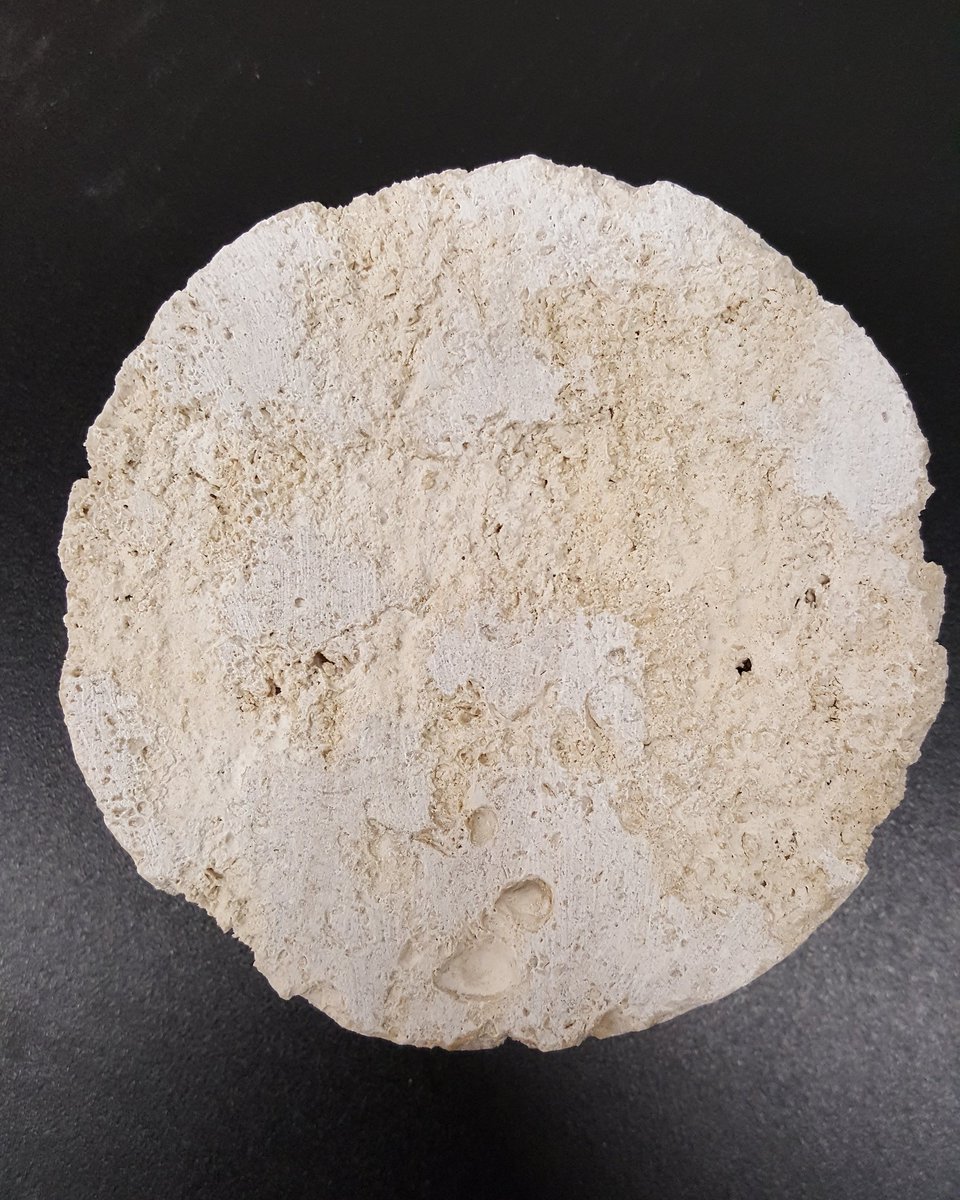 Happy international rock day! Cheers to rock hounds and rock nerds everywhere.