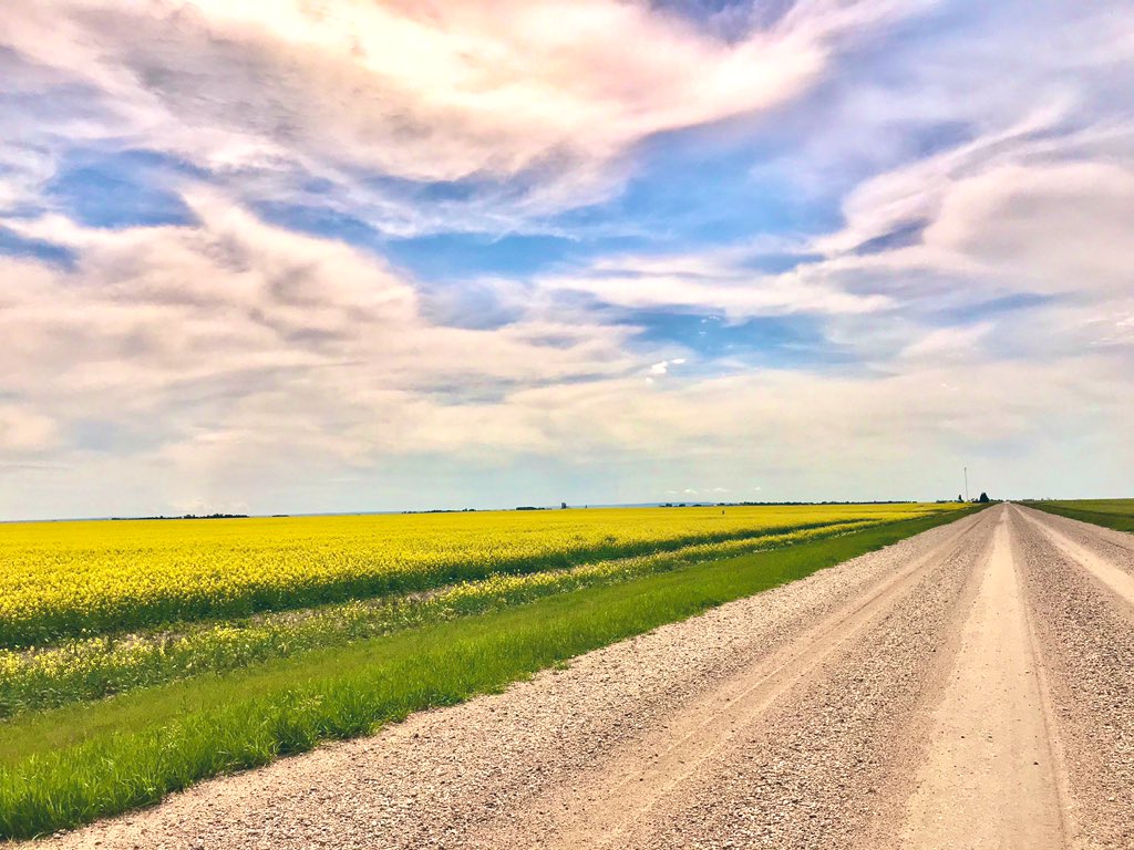 Aisling_HkyMom's tweet photo. “When within yourself you find the road, the right road will open”.
#fourmileroad #saskatchewan #smalltownsask https://t.co/BGxIR3xWuF