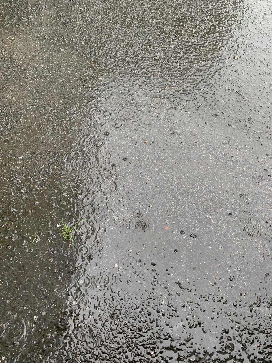そう言えば今日は大雨になるって昨日誰かが言ってた😇

今日もベトベト星人か