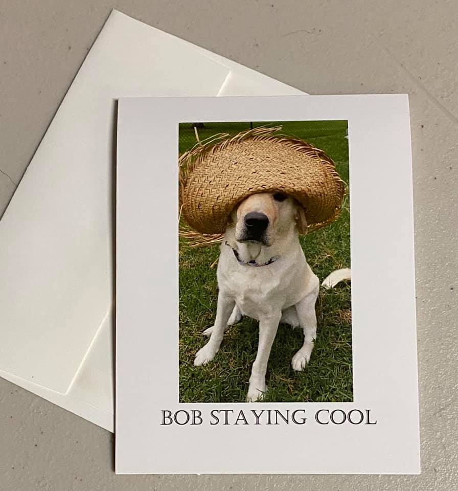 lsrdhunter's tweet photo. Bob is still writing notes to hospice patients with a little help from me. Below are some of our cards. I must say, Bob’s penmanship is improving. Next week we will try cursive!  He loves posing for the pictures! Such a ham! https://t.co/l0BBdzHWpg