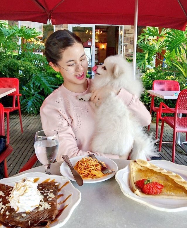 SiblingsKisses's tweet photo. If Kirby is a hooman, he and Kisses would be the same age right now. I don’t know when Kirby’s birthday is but I guess it is around this month. Kaya naman advance or belated..

Happy birthday Kirby! 🐶

@KissesDelavin
#KissesDelavin
#Kissables https://t.co/NC5mYZ5uFM