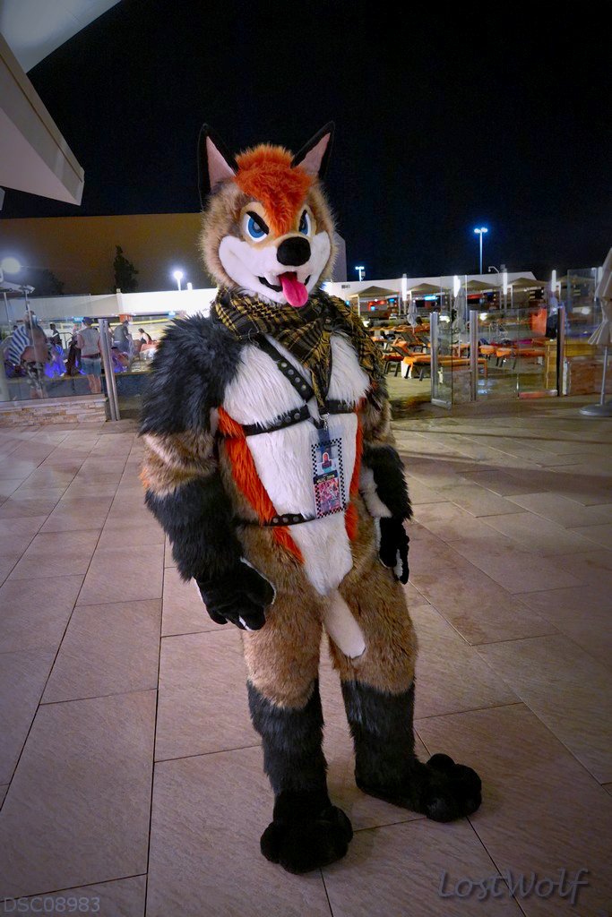 LostWolf321's tweet photo. ? @BiggestLittleFC #BLFC2016 #BLFC16
#MysterySuiterMonday
Please tag if you know who this is. https://t.co/Rzowbqydwj