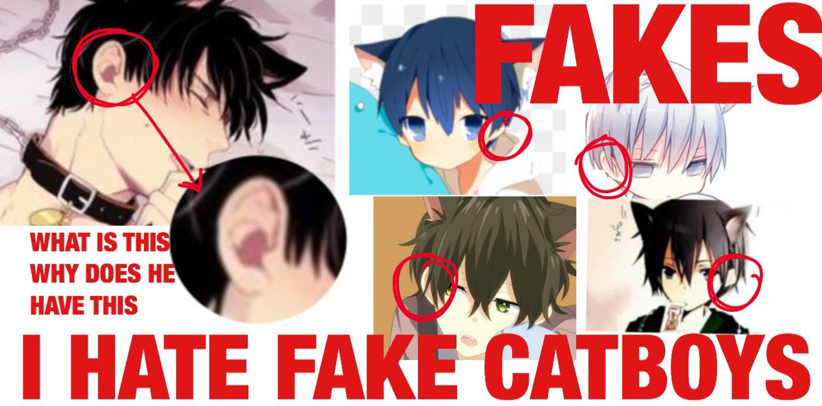 how to tell if you have a FAKE CATBOY VS A GENUINE ONE!!! fake catboys all have this weird fucking growth out the side of their head. DONT GET SCAMMED 