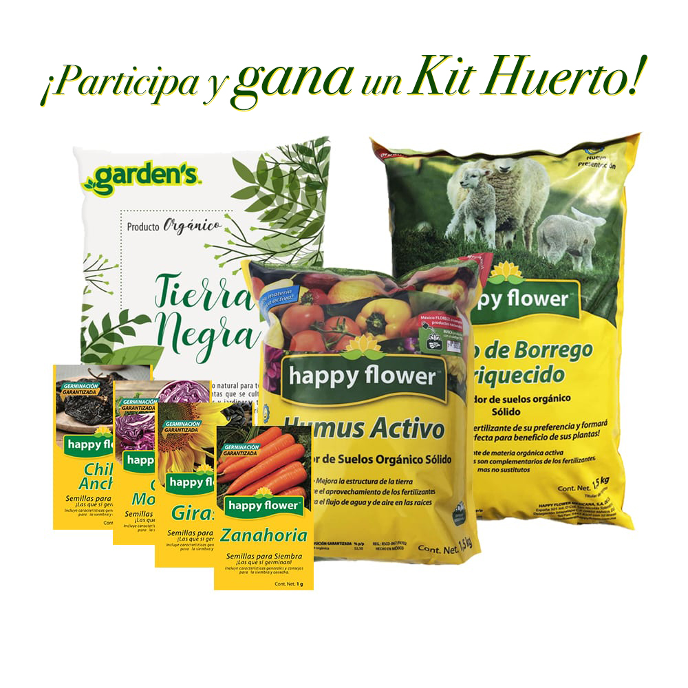 airelibre_fm's tweet photo. #HappyFlowerMx quiere seguir pintando tu vida de verde, conviértete en uno de los ganadores del #KitHuerto. Solo debes darle #RT a este tweet, seguir las cuenta de  @happyflowermex y compartirnos una foto de la planta que te ha acompañado durante esta cuarentena. https://t.co/pi0DRuj81l