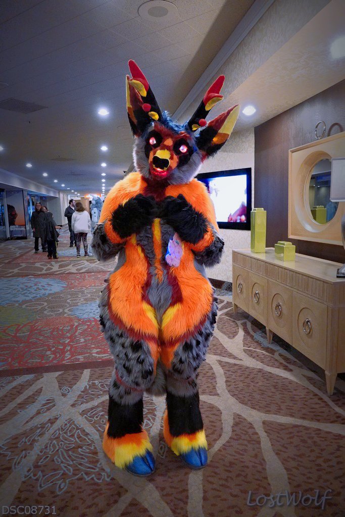 LostWolf321's tweet photo. ? @BiggestLittleFC #BLFC2016 #BLFC16
#MysterySuiterMonday
Please tag if you know who this is. https://t.co/Hu51QiBsrX