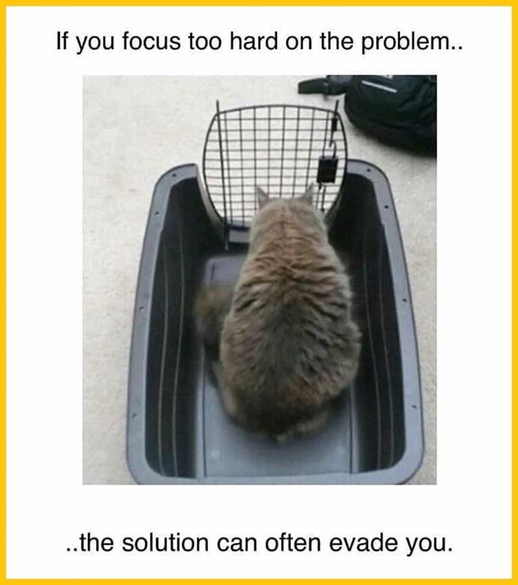 iphonegalaxymd's tweet photo. A gentle reminder to everyone who is going through hard time internally within themselves.

#programmingmemes #stackoverflow #pythonprogramming #pythonlearning #programmerjokesofficial #stackoverflow #hackerindonesia #programmerhumor #programmingjokes #programminghumor #program https://t.co/Vps3dnK3Hj