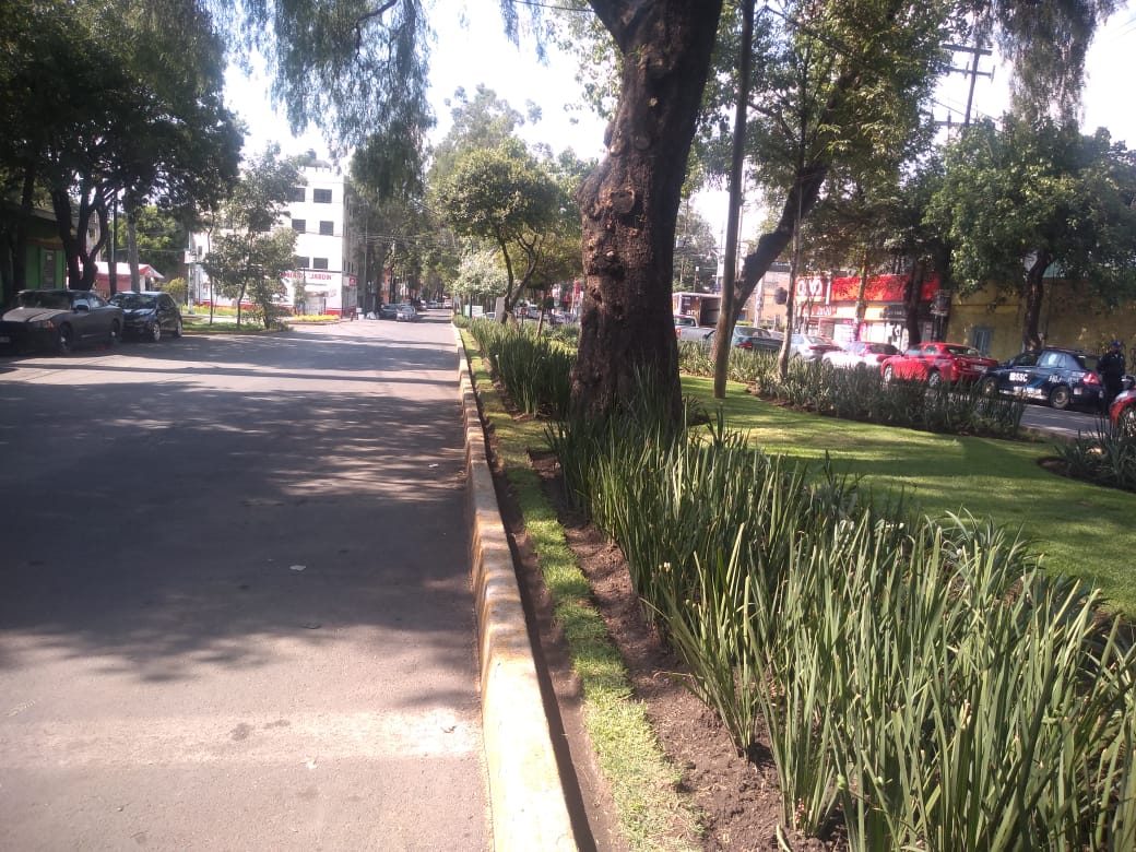 vidallerenas's tweet photo. Poco a poco vamos recuperando Av Jardín #Azcapotzalco https://t.co/GXrVSVTiVc