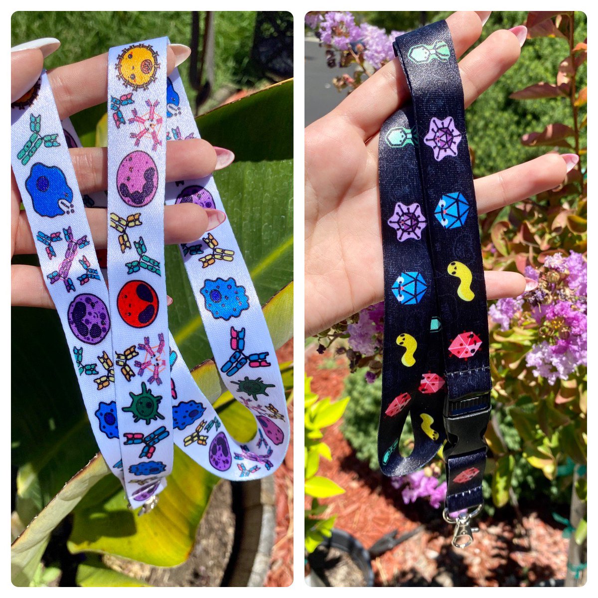 microbesandbeyond tweet media