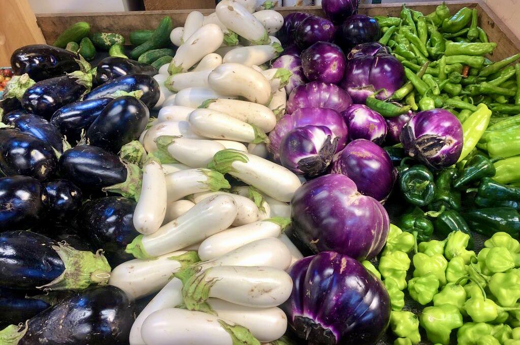 ShadyBrookFarm's tweet image. Farm grown. Eat the Rainbow!