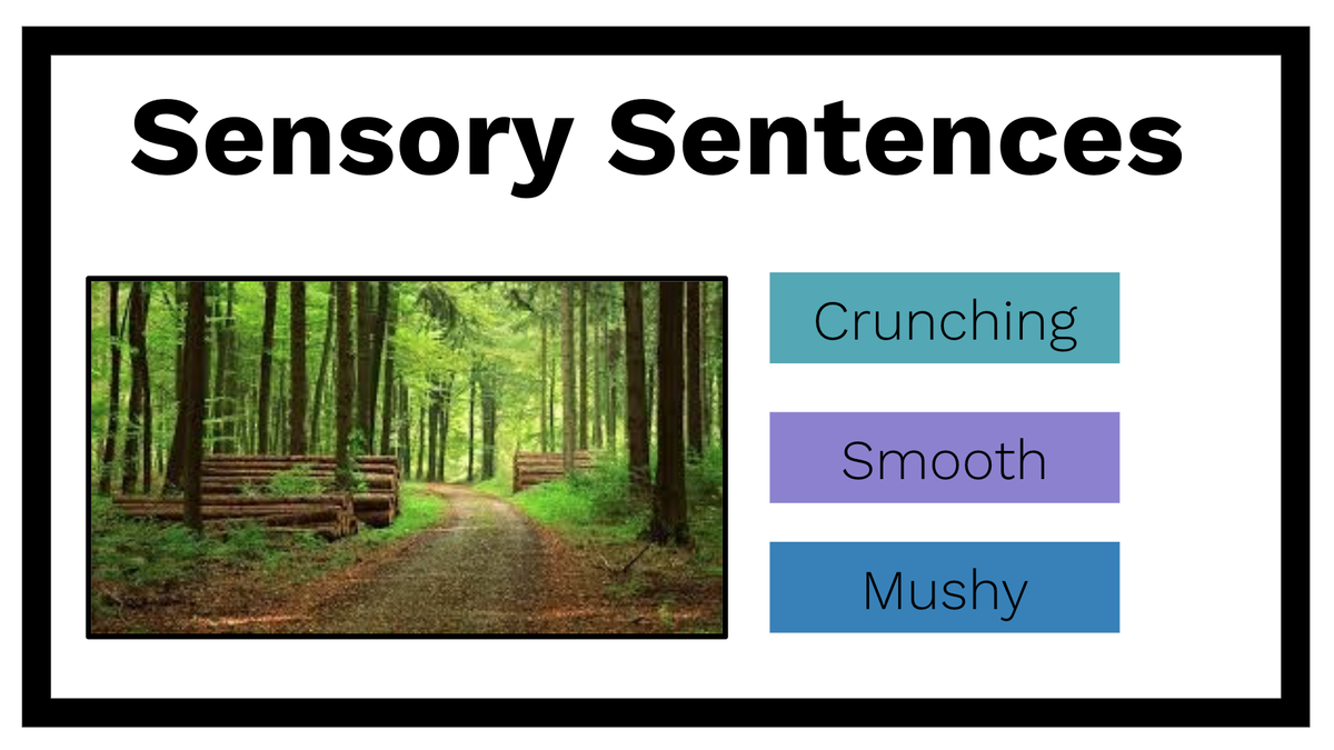 MsKMarshall_RSP's tweet photo. It Wednesday with @oodps1 campers, which means WYR, Word Work, Writing and WODB! They created sensations sensory sentences with a variety of words and images and were amazing with their math challenge today with impressive representations! #HDSBSummerLearning #HDSBstillconnected https://t.co/tIg0IIIc8e