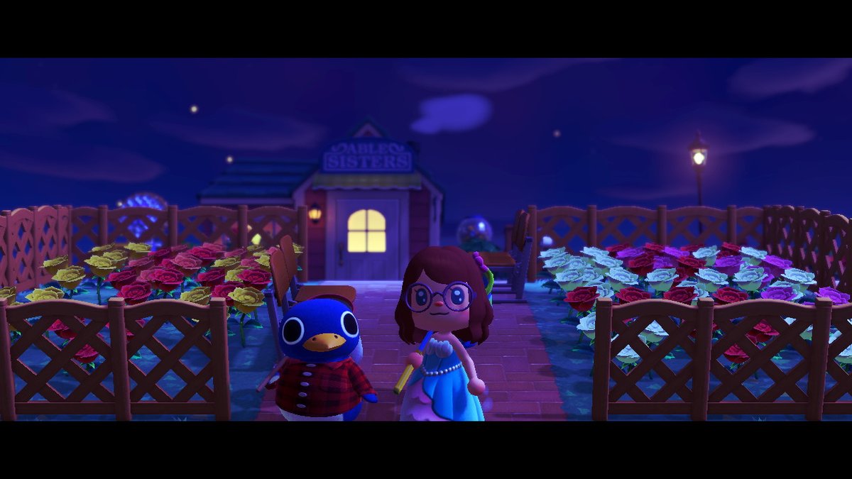 GoEvl's tweet photo. #AnimalCrossing #ACNH #NintendoSwitch https://t.co/uJU7pSTm90