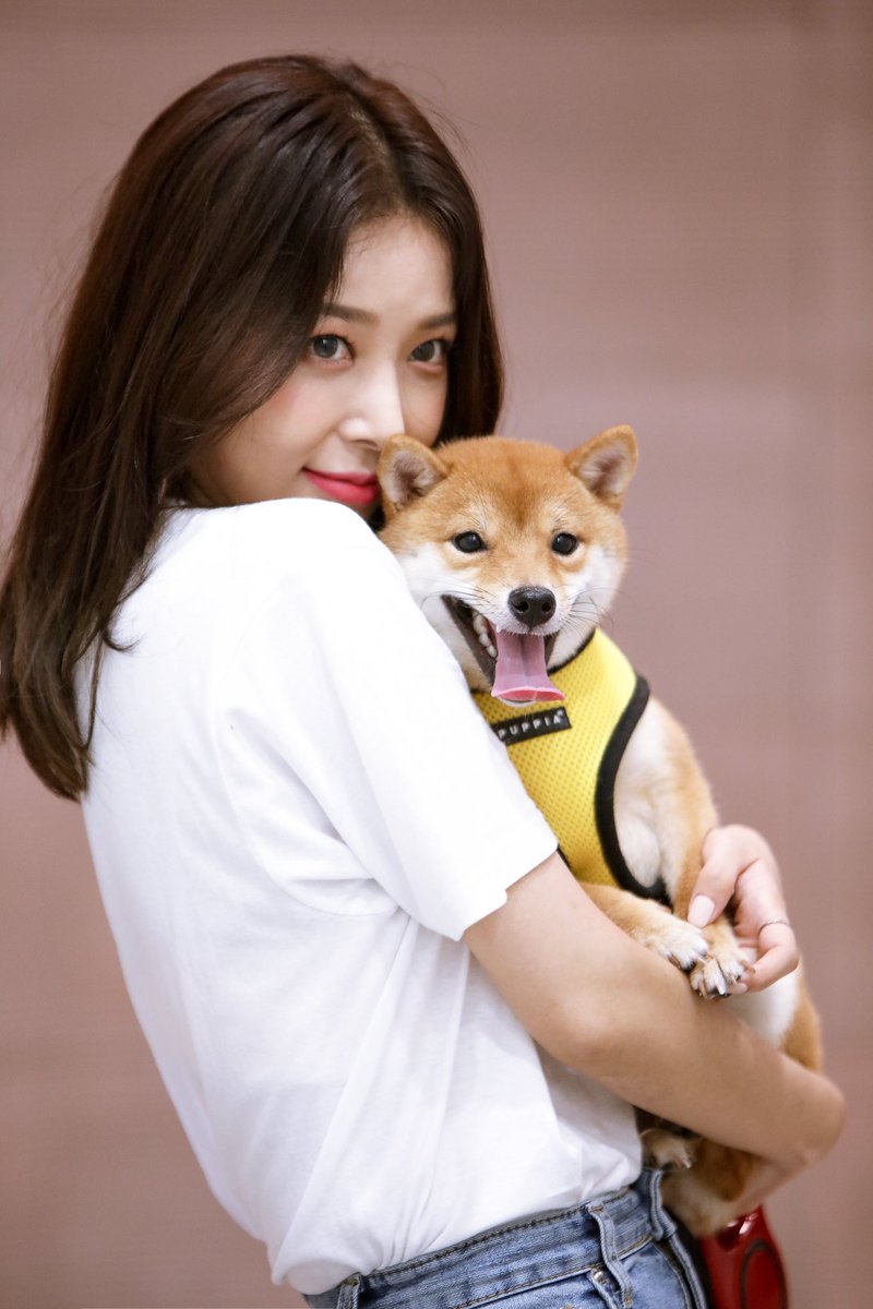 SNSD_0805's tweet photo. 콩빈이는 유빈님 반려견🐶 https://t.co/hEhZNBFNLM