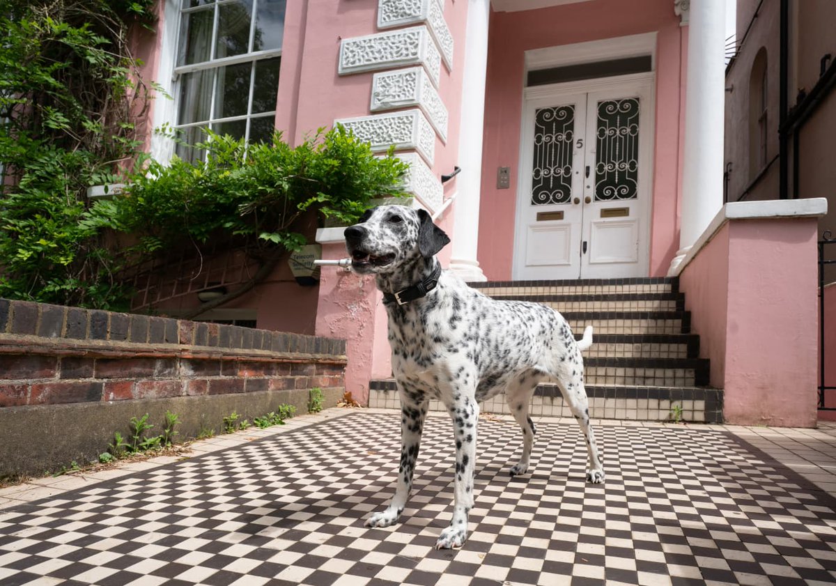 AptTherapy's tweet photo. The London pink house that inspired 101 Dalmatians is for sale. 🐾 https://t.co/40i1z71Xkx https://t.co/G0e3UpyTXJ