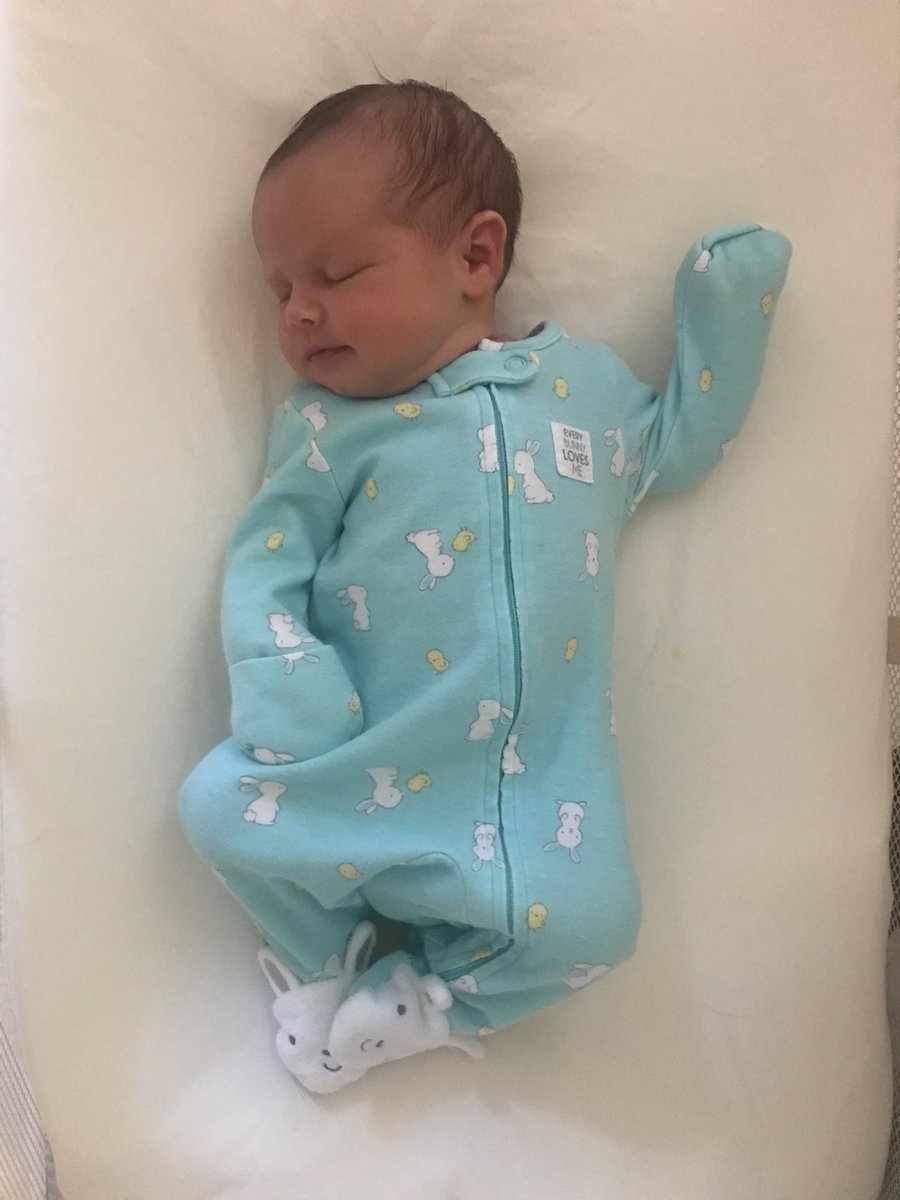 episcobaby's tweet photo. My baby sister was born the other day!!! Episcobaby 1 and Episcobaby 2, side by side, exactly 26 months apart. https://t.co/0gAfLT1wtm