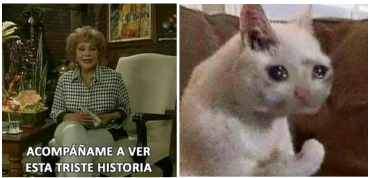 MaraFer66433979's tweet photo. Abro hilo del futuro problema sanitario y como están destruyendo las ilusiones de convertirse en médicos https://t.co/n1doDEtCGL